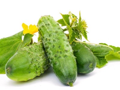 面對黃瓜莖稈開裂的情況該如何應對？