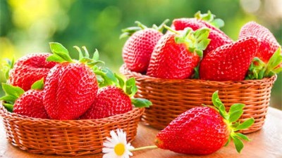 夏季草莓應(yīng)該如何澆水？