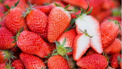 尿素別只當(dāng)肥料用，這5個(gè)經(jīng)典搭檔，用對了效果翻倍