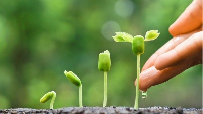 為什么肥料里有“腐植酸”效果就好？萊昂水溶肥給你答案
