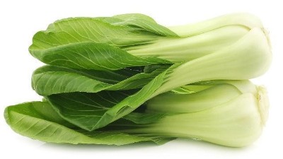 蔬菜換茬季，時(shí)間短、溫度低成為冬季換茬面臨的首要問題