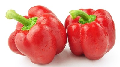 高溫多雨，辣椒炭疽病來勢洶洶，如何防治?