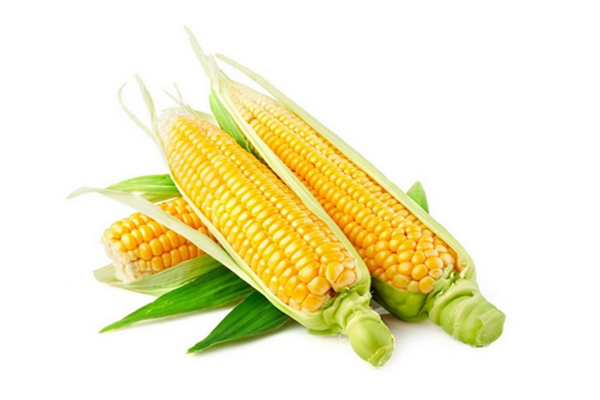 49-191119200JW34 49-191119200JW34