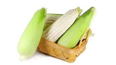 玉米出苗后葉片發(fā)黃，和這4點因素關系比較大，很容易造成減產。