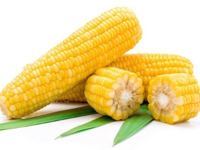 玉米追肥的最佳時間是什么時候？