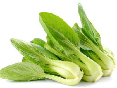 蔬菜定植如何預(yù)防死苗現(xiàn)象?告訴你幾個好方法