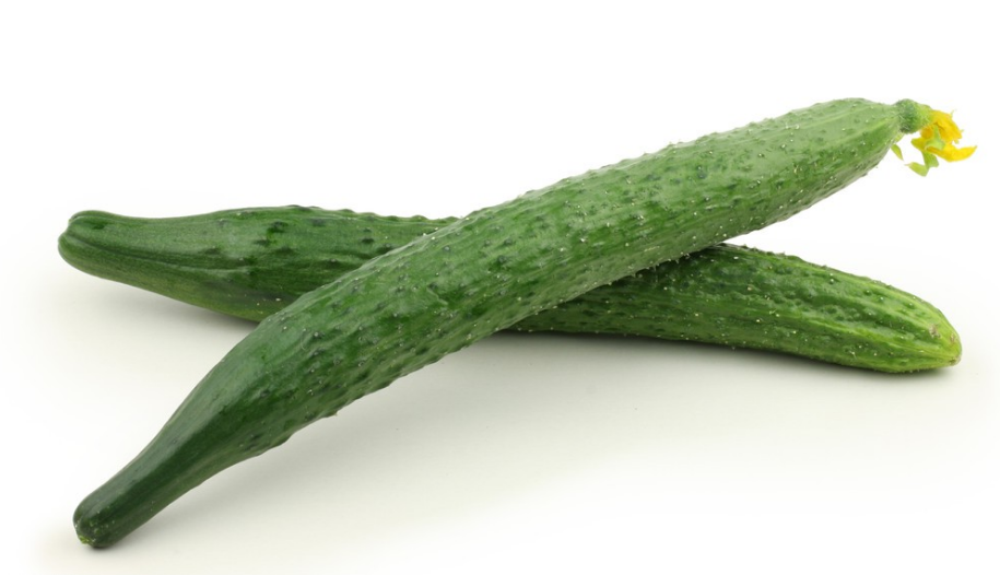 地里種植的黃瓜出現(xiàn)了很多大頭瓜，什么原因造成的?