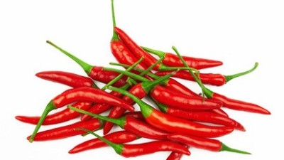番茄、黃瓜、辣椒等蔬菜病毒病，抓住技巧，防治不難