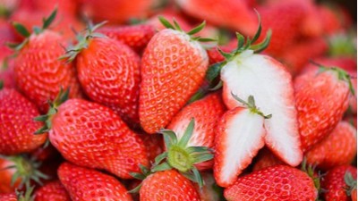 磷酸二氫鉀的六個(gè)黃金搭檔你知道嗎？