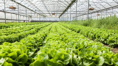 天冷了，你家大棚咋增溫?溫室大棚增溫的10個(gè)妙招!