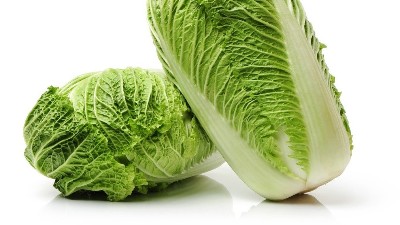 白菜在秋季的管理技巧，這一些要知道!
