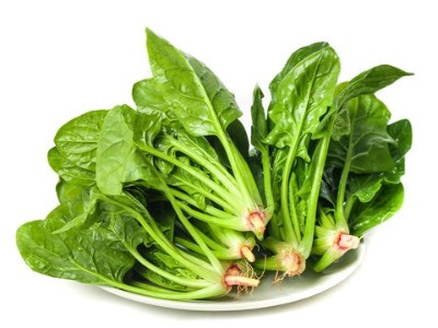 菠菜病毒病有什么癥狀？該怎么防治？