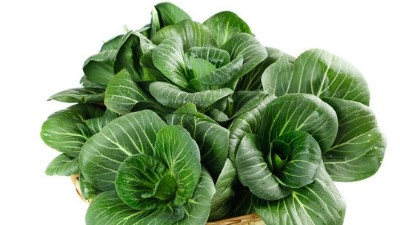 蔬菜養(yǎng)根，土壤環(huán)境很重要