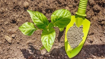 化肥、有機(jī)肥和生物菌肥各自有哪些不同？優(yōu)缺點(diǎn)是什么呢？
