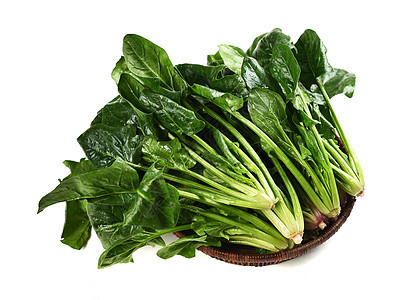 早春蔬菜定植如何才能提高成活率，避免出現(xiàn)死棵？