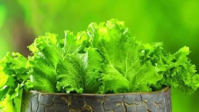 請注意!這4點沒做好，蔬菜或?qū)乐販p產(chǎn)